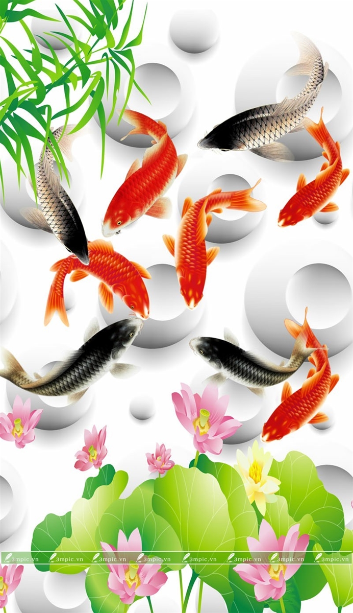 Hình ảnh Cá Chép PNG, Vector, PSD, và biểu tượng để tải về miễn phí |  pngtree