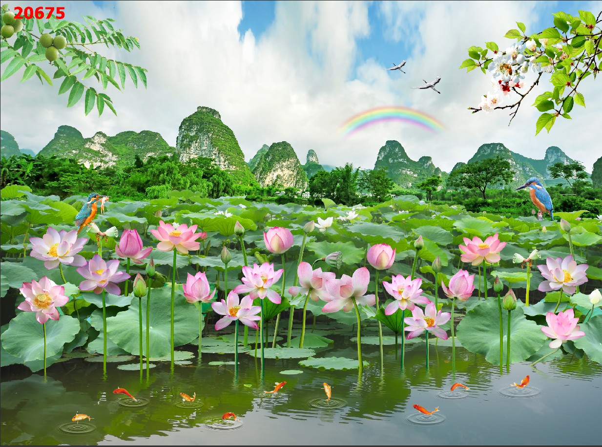 Tranh Sen 20675